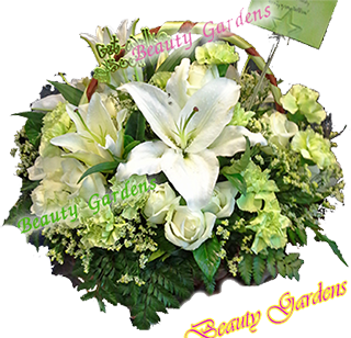 �ǧ��մ���