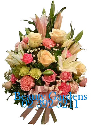 �ǧ��մ�բ��